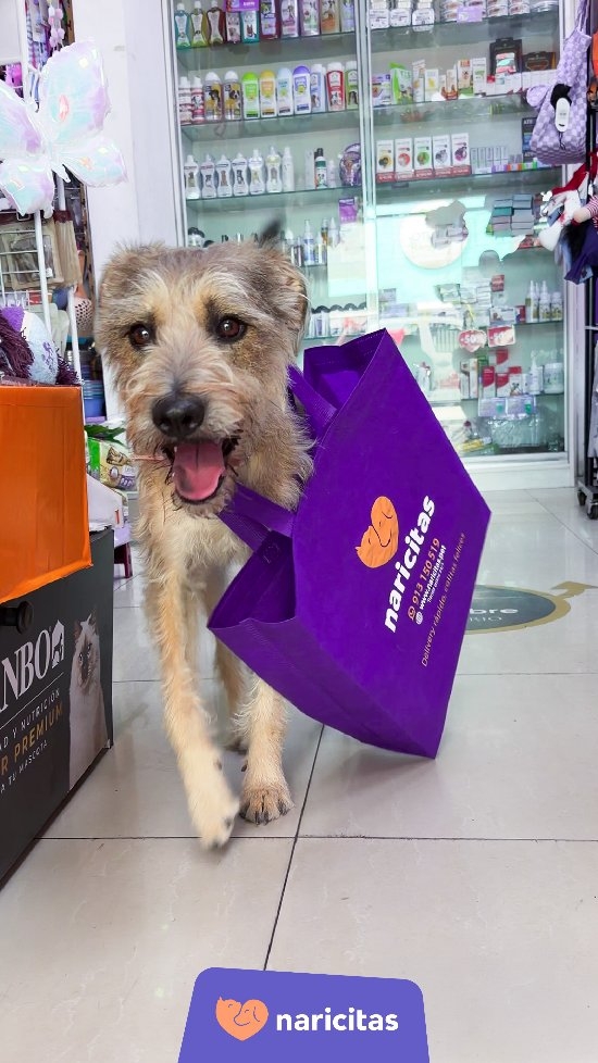 Naricitas Premia Tu Amor