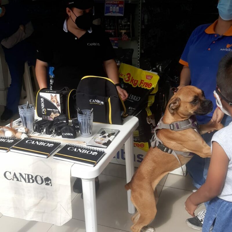 Promotoria-Canbo-20-04-22