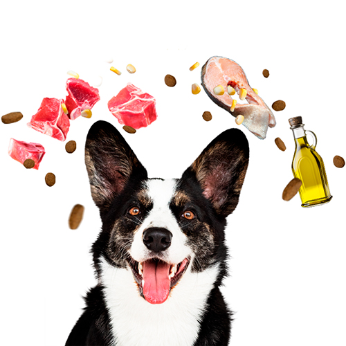 Allkjoy Perro Adulto Todas las Razas de Carne de Res 15Kg