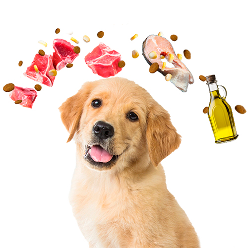 Allkjoy Perro Cachorro Todas las Razas Carne de Res 15Kg