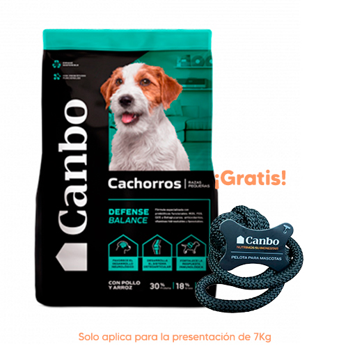 canbo balance dog cachorro 7kg