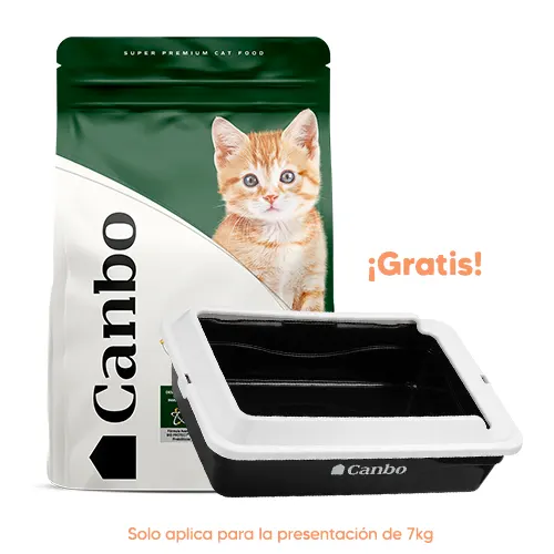 Canbo Gato Kitten Pollo y Arroz 7kg