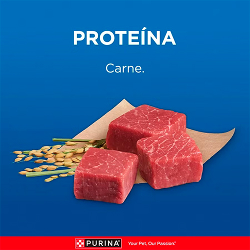 Cat Chow Adulto Delicias de Carne Cat Chow Adulto Delicias de Carne