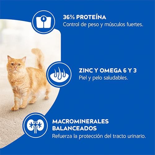 Cat Chow Adulto Esterilizado Cat Chow Adulto Esterilizado