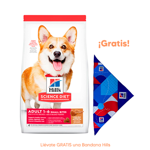 Hills SD Canine Adulto 1-6 Small Bites Cordero y Arroz 2Kg