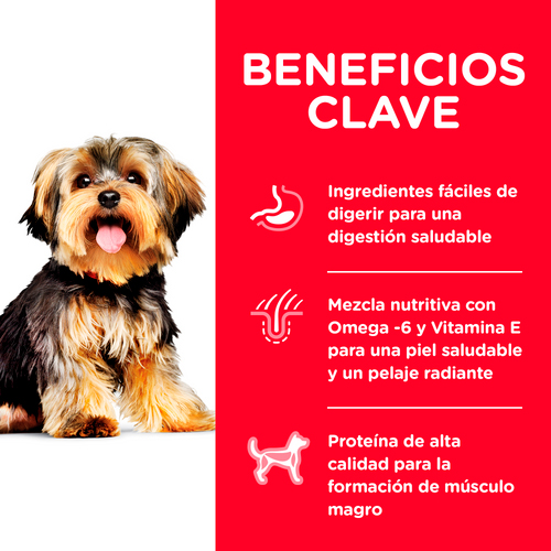 Hills SD Canine Adulto 1-6 Small Paws & Toy Pollo y Arroz 2Kg Hills SD Canine Adulto 1-6 Small Paws & Toy Pollo y Arroz 2Kg