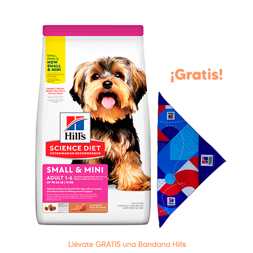 Promoción 2 Cojines Diseños Disney 43x43cm Hills SD Canine Adulto 1-6 Small & Mini Cordero y Arroz