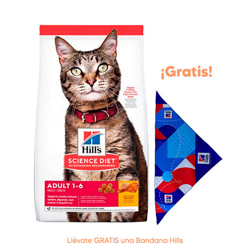 Holliday Mv Dog Articular 2Kg Hills SD Feline Adulto 1-6 Pollo