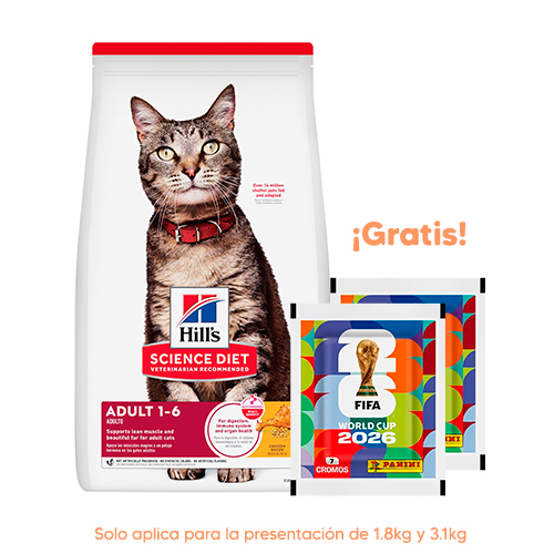 Hills SD Feline Adulto 1-6 Pollo