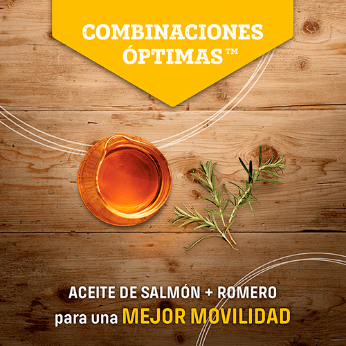 Nutram Cat I19 Sensitive & Stomach 2Kg Nutram Cat I19 Sensitive & Stomach 2Kg