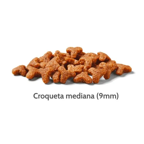 Nutram Cat I19 Sensitive & Stomach 2Kg