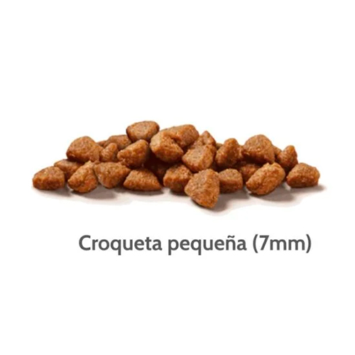 Nutram Cat S1 Kitten 1.13Kg