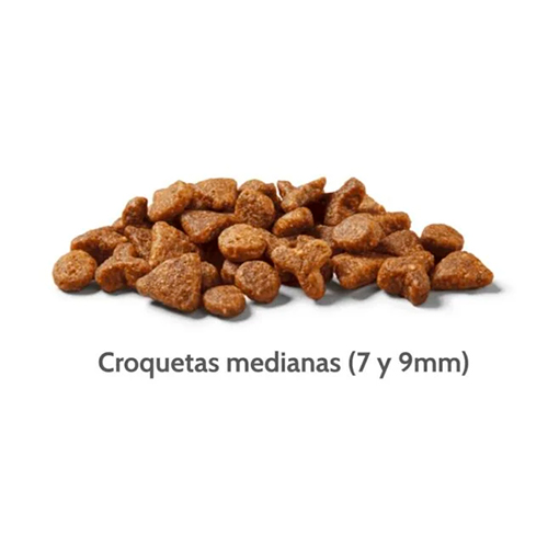 Nutram Cat T22 Grain Free Chicken & Turkey 2Kg