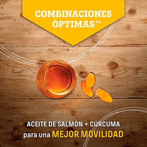 Nutram Cat T24 Trucha & Salmón 2Kg Nutram Cat T24 Trucha & Salmón 2Kg