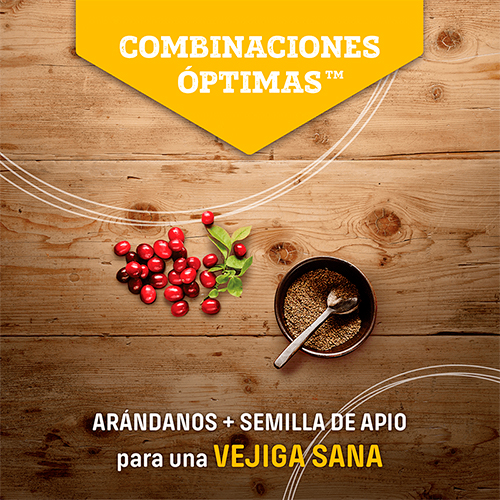 Nutram Cat T24 Trucha & Salmón 2Kg Nutram Cat T24 Trucha & Salmón 2Kg