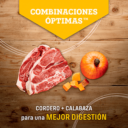 Nutram Dog T26 Grain Free Lamb Nutram Dog T26 Grain-Free Lamb