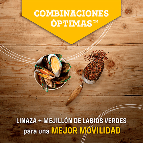 Nutram Dog T26 Grain Free Lamb Nutram Dog T26 Grain-Free Lamb