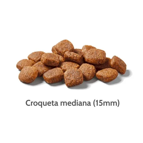 Par Pets Skin & Coat Aceite de Trucha para Perro y Gato 60ml Nutram Dog T26 Grain-Free Lamb