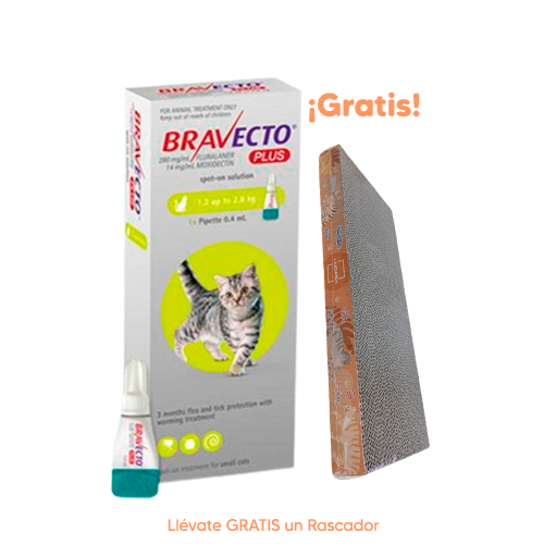 Pipeta Antipulgas para Gato Bravecto Plus Spot On 1.2-2.8Kg 112.5mg