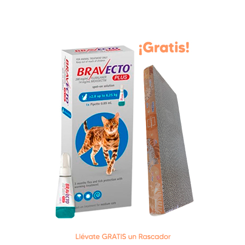 Pipeta Antipulgas para Gato Bravecto Plus Spot On 2.8-6.25Kg 250Mg