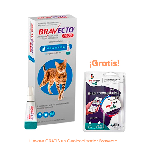 Pipeta Antipulgas para Gato Bravecto Plus Spot On 2.8 a 6.25Kg 250mg
