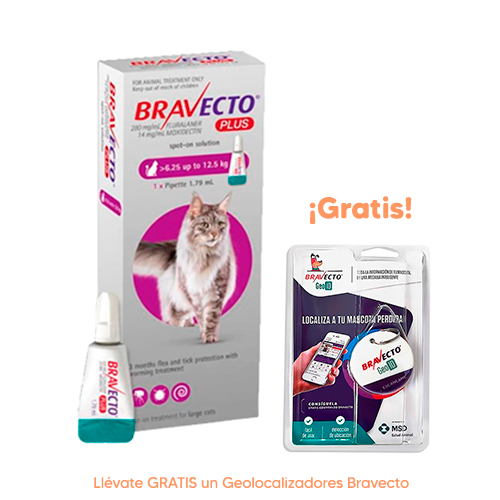 Pipeta Antipulgas para Gato Bravecto Plus Spot On 6.25-12.5Kg 500Mg