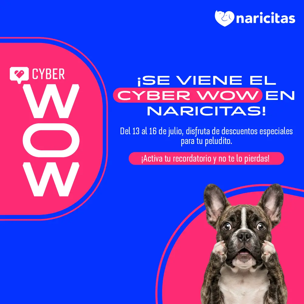 banner cyber wow naricitas julio 2026