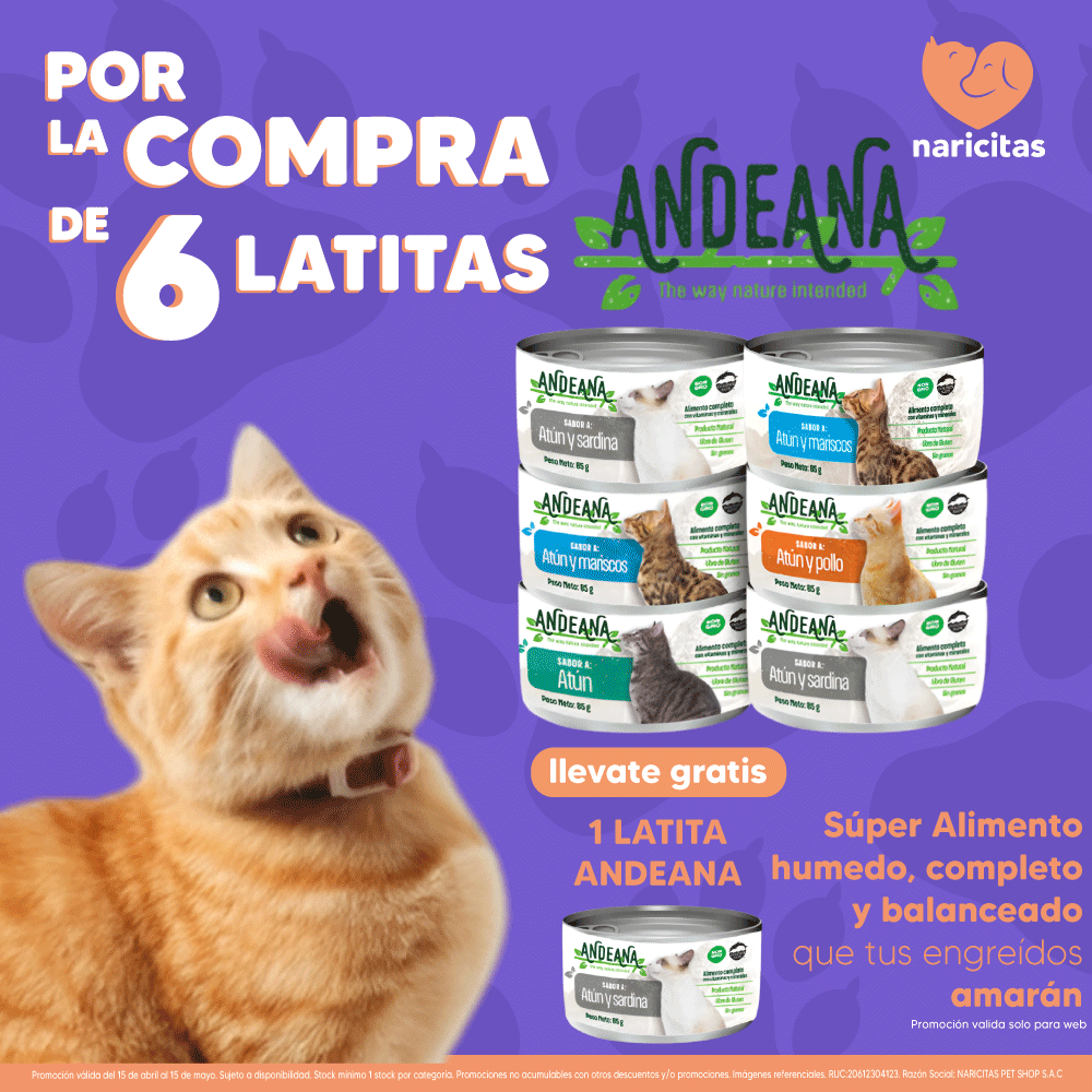 promocion latas andeana gato