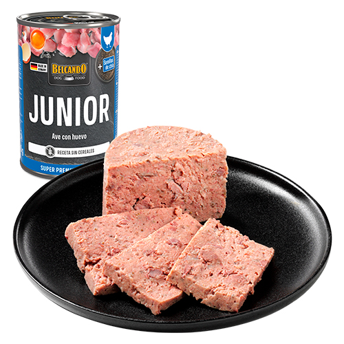 Belcando Dog Lata Junior Ave y Huevo