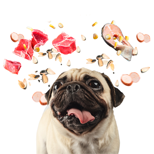 Allkjoy Perro Adulto Razas Pequeñas Carne de Res 15Kg