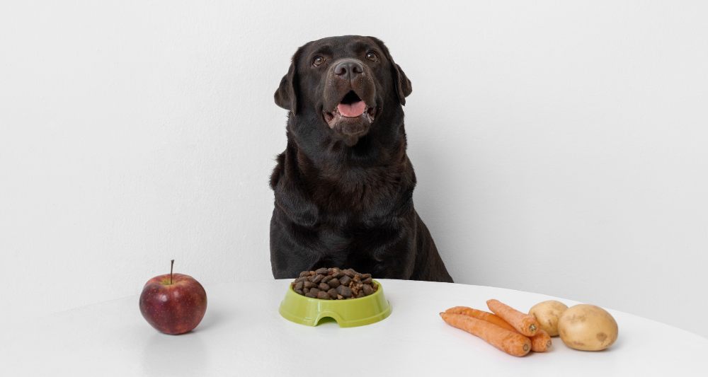 verduras frutas perros naricitas