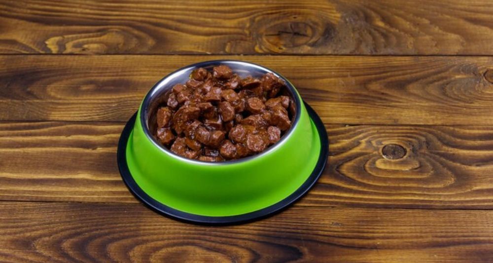dieta casera perros mascotas