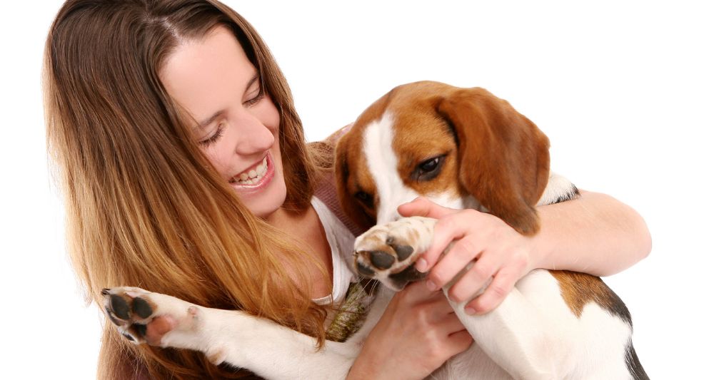 tips cuidado cachorro