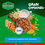 Dog Chow Cachorro Razas Medianas y Grandes Gran Comienzo 3Kg