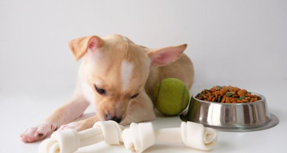snacks perros rinones sensibles