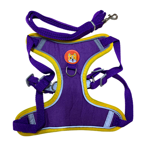 La Mascota de Keli Pechera + Tira Talla XL
