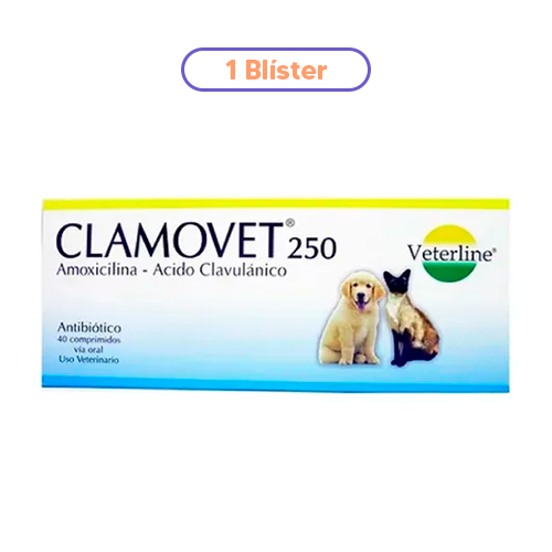 Clamovet Amoxicilina Antibiótico 250mg 10 Tabletas