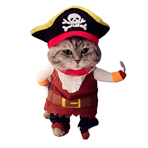 La Mascota de Keli Disfraz Pirata 3 Piezas Ropa, Gorra y Pañuelo