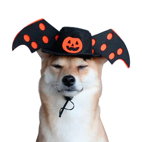 La Mascota de Keli Gorrito Calabaza con Alas