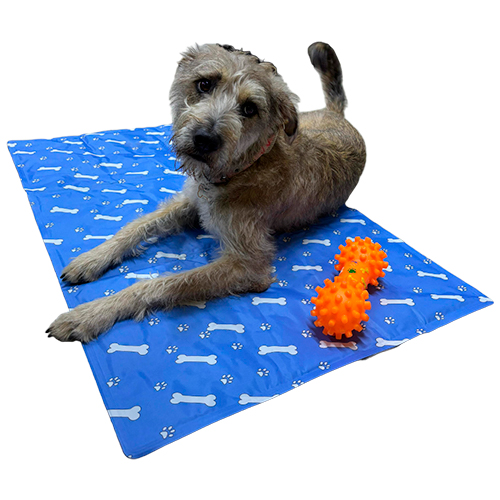 Gigwi Crunchy Neck Plush Friendz Conejo S con Sonido Cool Mat Alfombra refrescante para perro y gato