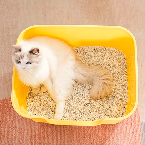 La Mascota de Keli Arenero Bandeja con Palita 48x34.8x20cm La Mascota de Keli Arenero Bandeja con Palita 48x34.8x20cm