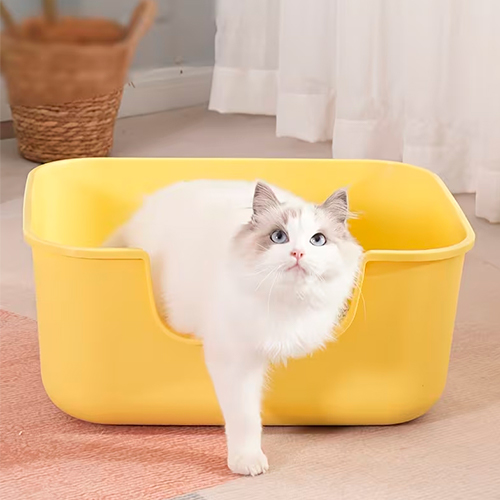 La Mascota de Keli Arenero Bandeja con Palita 48x34.8x20cm