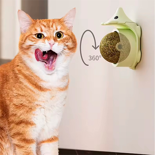 La Mascota de Keli Bolita de Catnip Erizo de pared hierba gatera