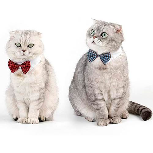 La Mascota de Keli Collar Michi de Cuadritos La Mascota de Keli Collar Michi de Cuadritos