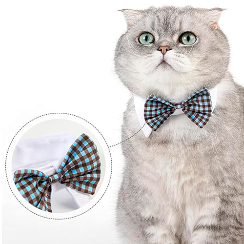 La Mascota de Keli Collar Michi de Cuadritos