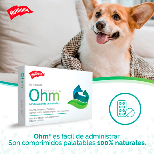 Holliday Ohm Modulador de la Ansiedad para Perros y Gatos Triptófano y Valeriana 1 Tableta Holliday Ohm Modulador de la Ansiedad para Perros y Gatos Triptófano y Valeriana 1 Tableta