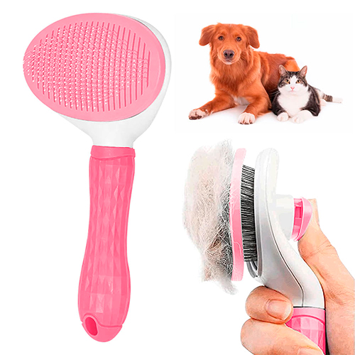 Homepage La Mascota de Keli Cepillo Push Básico