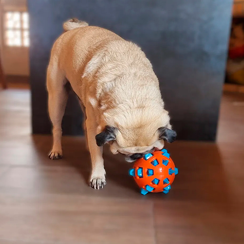 La Mascota de Keli Granada Redonda Dura con Púas La Mascota de Keli Granada Redonda Dura con Púas