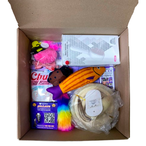 Homepage Naricitas Purrfect Cat Box Tipo 1