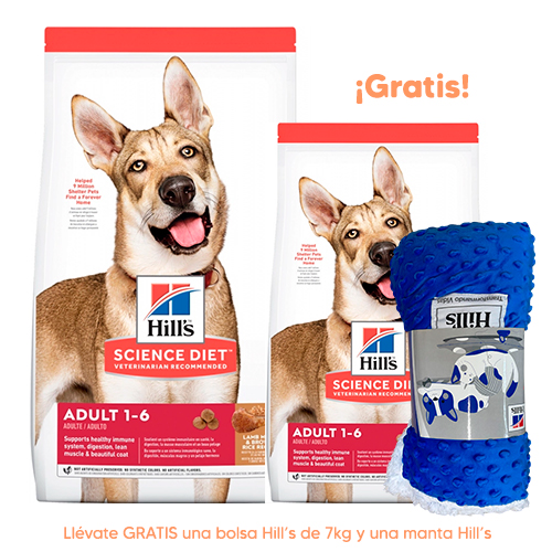 Hills SD Canine Adulto 1-6 Cordero y Arroz 15Kg + 7Kg GRATIS